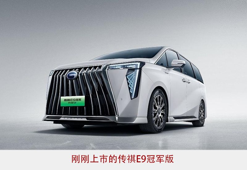 MPV新车扎堆，究竟是谁的“刚需”？    
