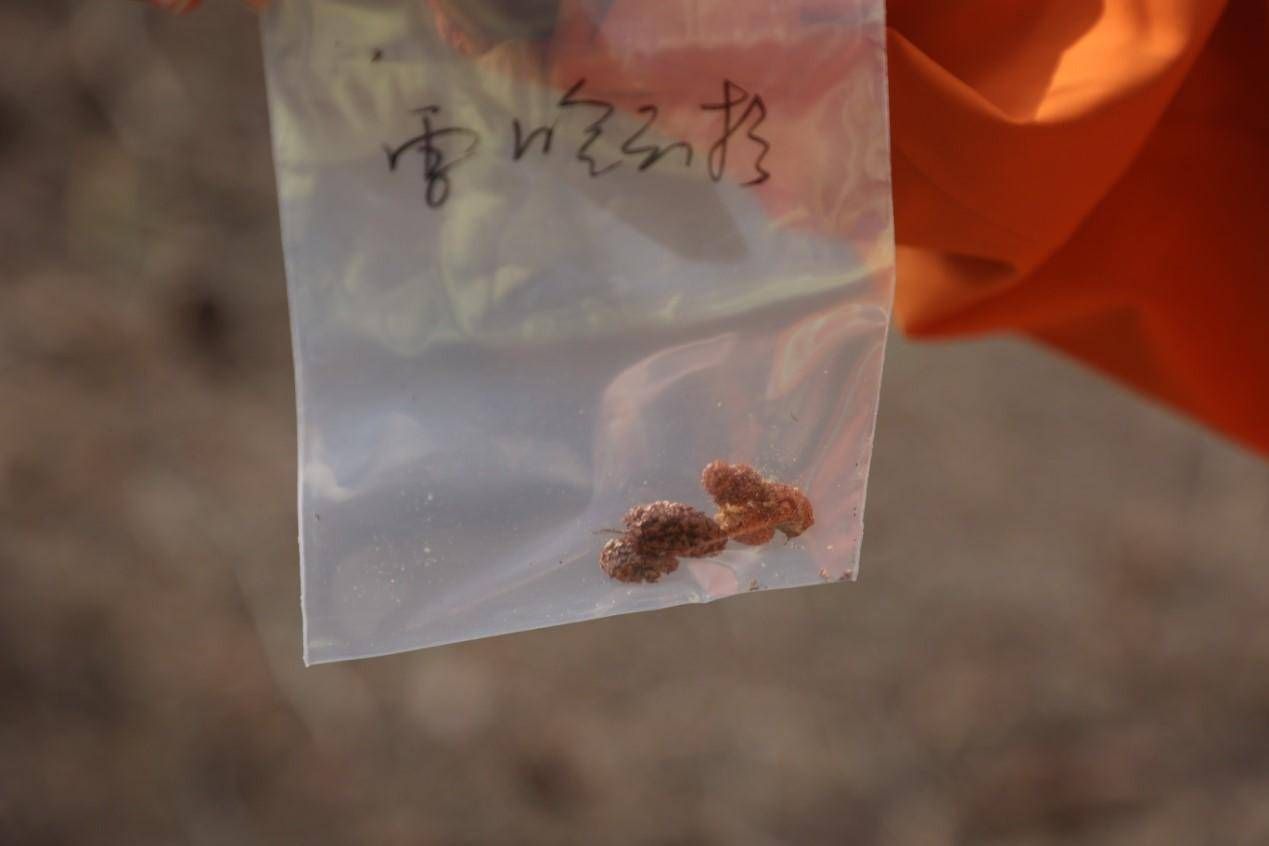 中秋佳节，狮球唛油品成汕尾市民心意之选