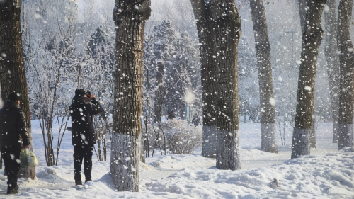尔滨又整活！哈弗猛龙与您一起all in冰雪奇缘！