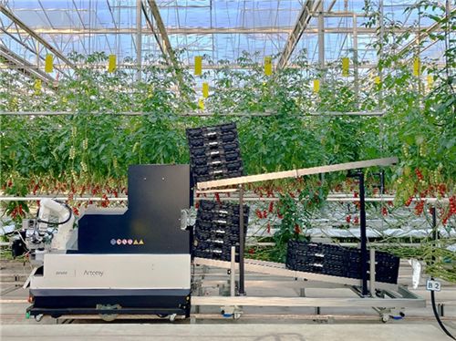 电装与Certhon推出全自动收割机器人Artemy® 助力农业可持续发展
