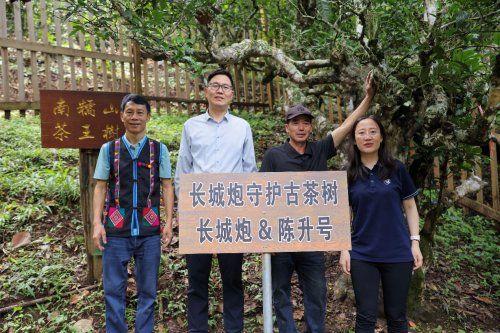 连续28年销量第一 长城皮卡2025年全球累计销量突破18万辆