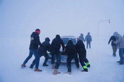 连续28年销量第一 长城皮卡以“用户共创”构建中式皮卡文化 