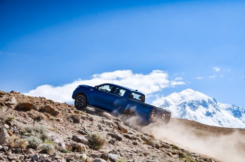 国内出口销量双第一2025年长城皮卡“高质量市占率”定义双料冠军