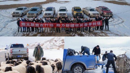 国内出口销量双第一2025年长城皮卡“高质量市占率”定义双料冠军