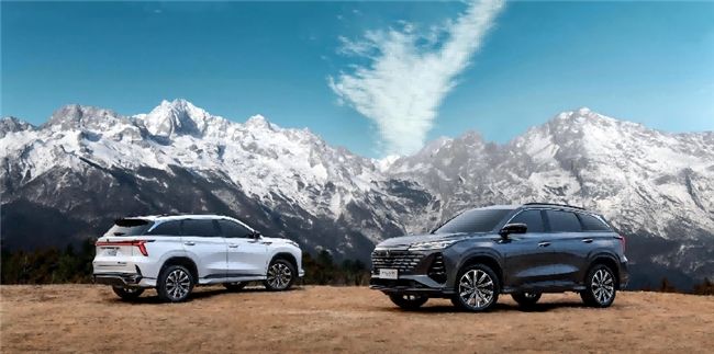 中国人保携手池州三义汽车购车嘉年华    