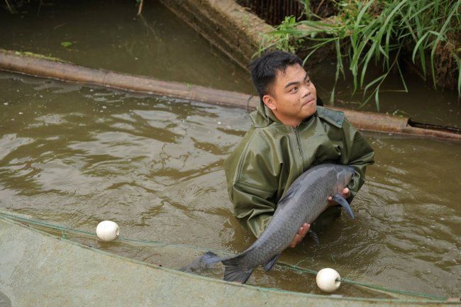长城第1000次评车百万公里风骏车主口碑印证硬核实力筑牢用户信任