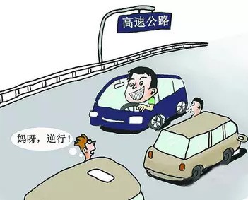 高速公路逆行搞笑图片图片